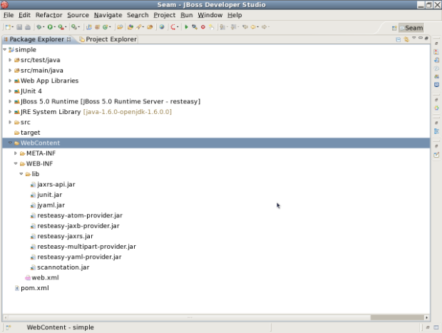 Screenshot-Seam - JBoss Developer Studio -1.png