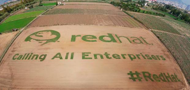 RedHat_Giant_Field_Logo.jpeg