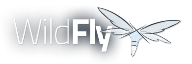 splash_wildflylogo.png